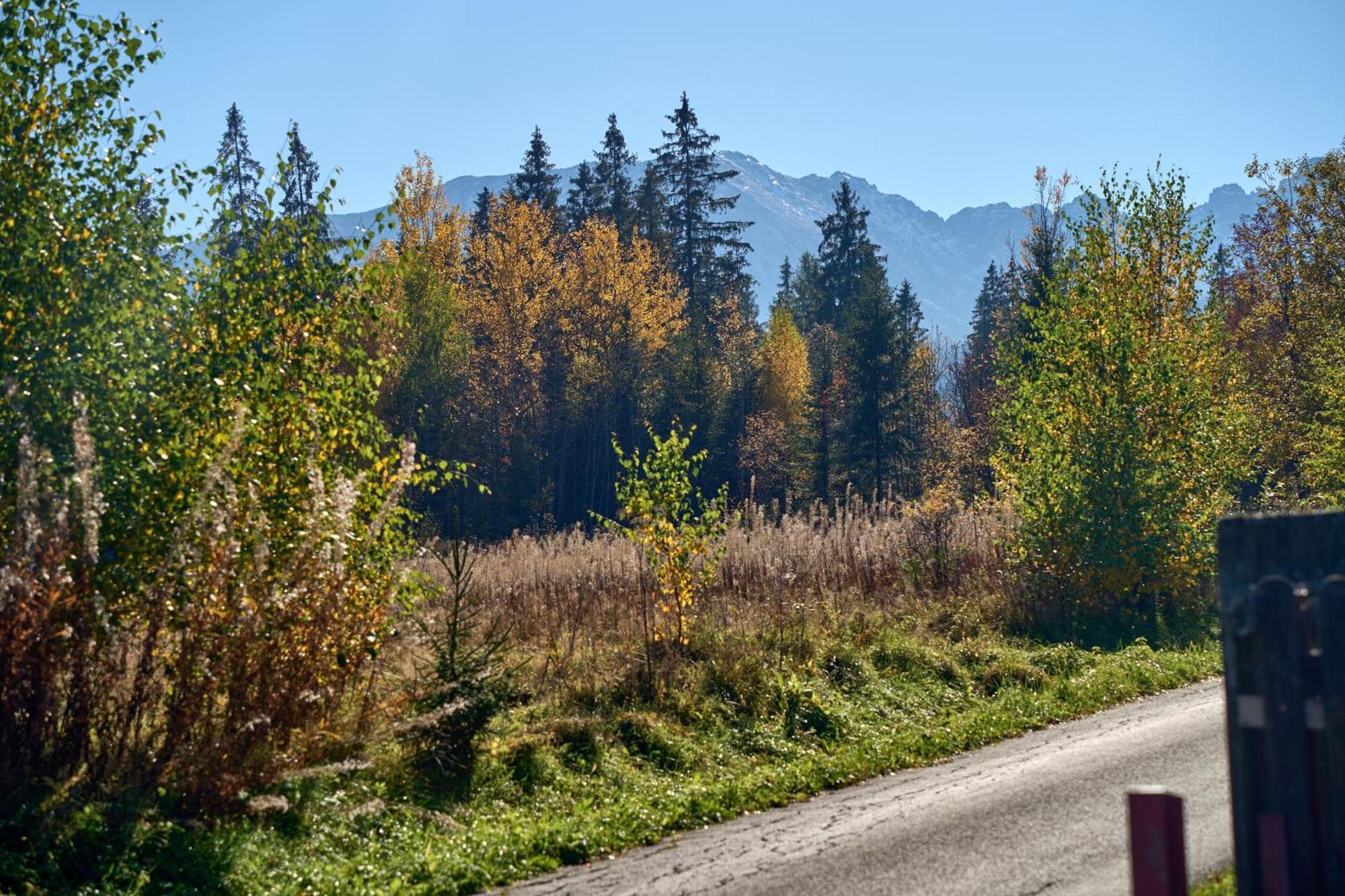 Domek Slebodny Uplaz Zakopane Eksteriør bilde
